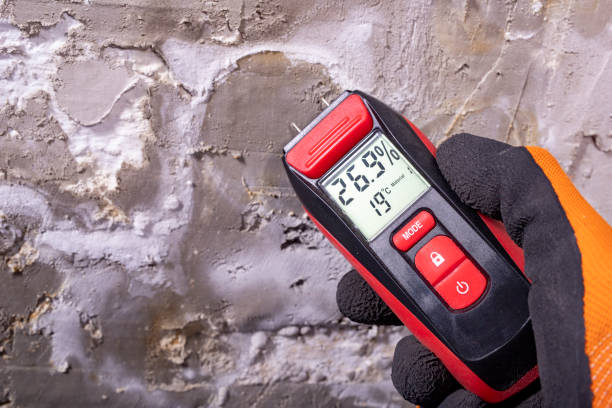 Best Black Mold Removal  in Thomson, GA