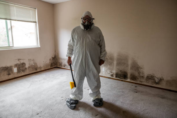 Best Mold Testing  in Thomson, GA