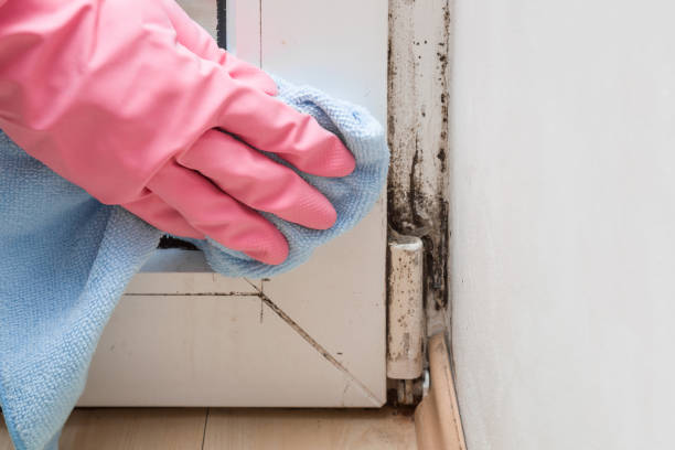 Best Mold Testing  in Thomson, GA
